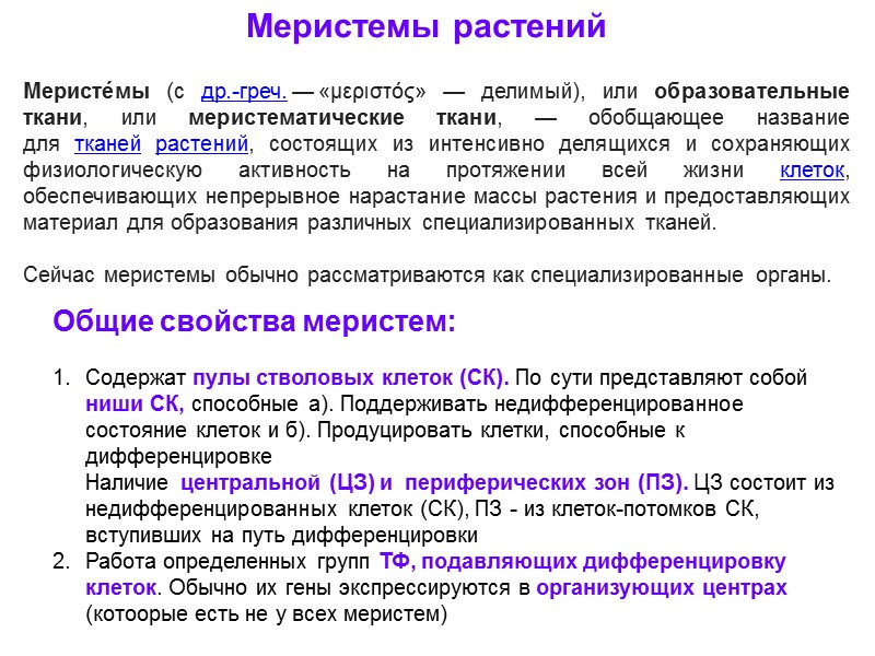 Меристемы растений Меристе́мы (с др.-греч. — «μεριστός» — делимый), или образовательные ткани, или меристематические